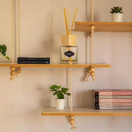 Antine 54 - Magnolia Holidays Αλγκέρο