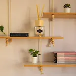 Antine 54 - Magnolia Holidays ألغيرو